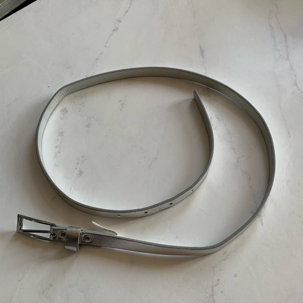 Express Silver Skinny Belt